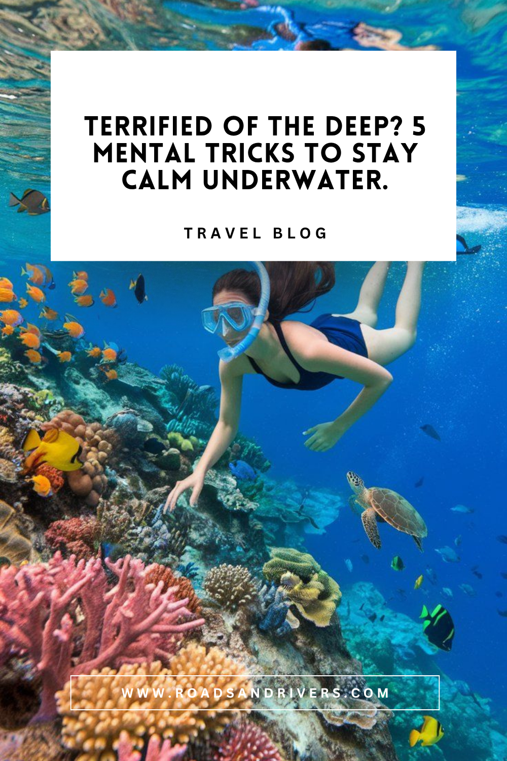Everything You Need to Know About Scuba, Snorkeling, and Swimming with Sharks