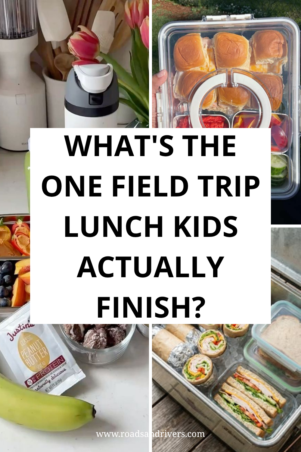 How To Make Easy Field Trip Lunch Ideas Kids Will Love